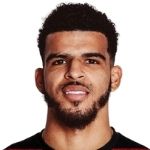 Dominic Solanke