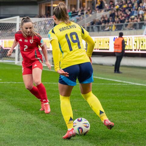 Johanna Rytting Kaneryd reflekterar över EM-nederlaget