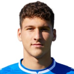 A. Dragoner